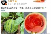 可以吃娱乐圈的瓜吗,揭秘明星幕后故事